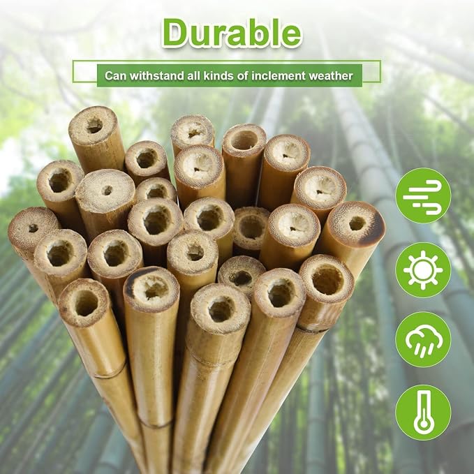 Jollybower 1" D 93IN(Approx 8 Feet) Bamboo Stakes 50 Pack, Thicker Heavy-Duty Plant Stakes, Natural Garden Stakes for Bean, Tomato, Bean, Flowers,Trees Potted and Climbing Plant Support