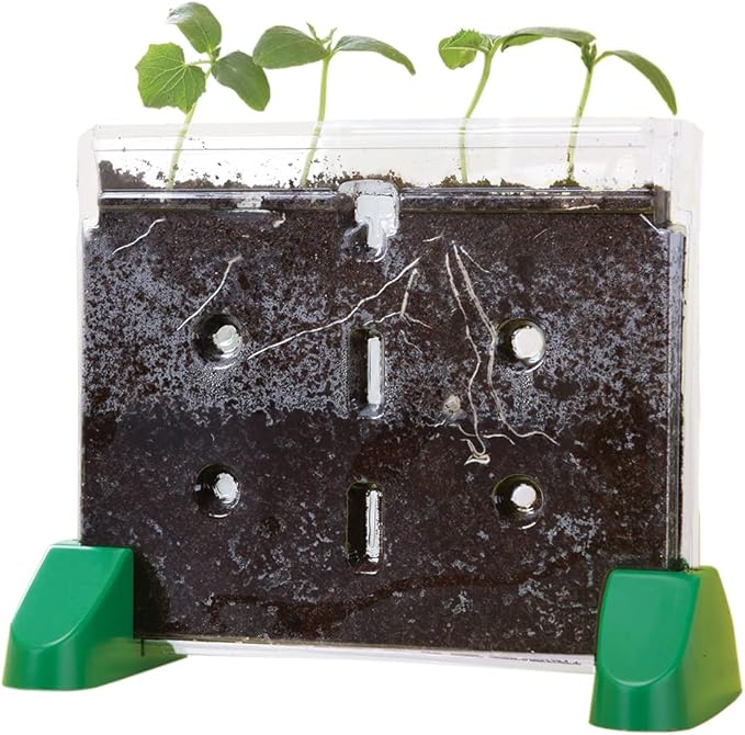 Educational Insights Sprout & Grow Window - See-Through Sprouts Growing Kit, Kids Gardening Set, Kid-Friendly Science Kits, Root Viewer, Gardening Kit for Kids, Indoor Classroom Planter, Ages 5+