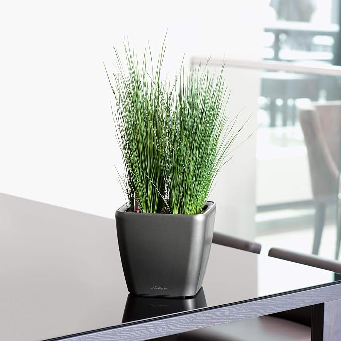 Lechuza Quadro LS 21 Black High Gloss, Self-Watering Square Planter, H7.9 L8.3 W8.3 in