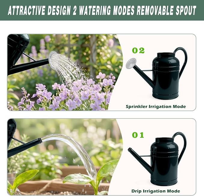 LONGRUN 2.3 Gallon Dark Green Metal Watering Can for Plants and Garden with Removable Spout, Made of Galvanized Iron