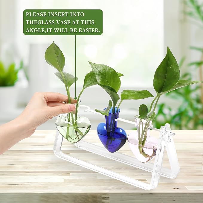 Clear Plant Terrarium Propagation Stations with Acrylic Stand | Birthday Gifts for Women Office Home Decor