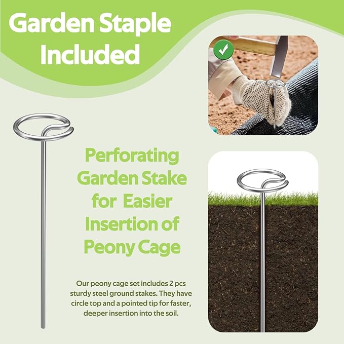 8 Pack Peony Cages and Supports - Grow Through Plant Support for Outdoor Plants - Sturdy Metal Support Frame for Peonies, Roses Flower Garden Cage - Wide Top Rings Bouquet Shape 12" D x 16" H