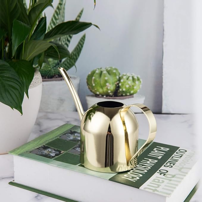 IMEEA 15oz Mini Indoor Watering Can for Small Plants Stainless Steel Watering Can with Long Spout for Desk, Windowsill & Bonsai (Gold)