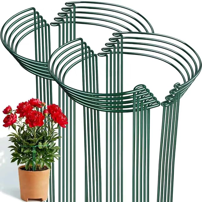 Thealyn 20 Pack Plant Support Stakes, 10" W x 24" H Metal Peony Cages and Supports, Rustproof Half Round Garden Plant Stakes for Indoor Outdoor Plants, Hydrangea, Rose, Tomato, Monstera