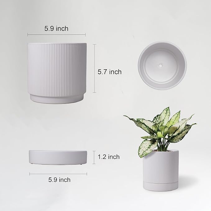 HERDUK 6 Inch Ceramic Plant Pot with Drainage & Saucer - Indoor Planter for Succulents, Cacti & Aloe Vera - Striped Design, High-Temp Fired Clay, Lightweight Modern Decor White