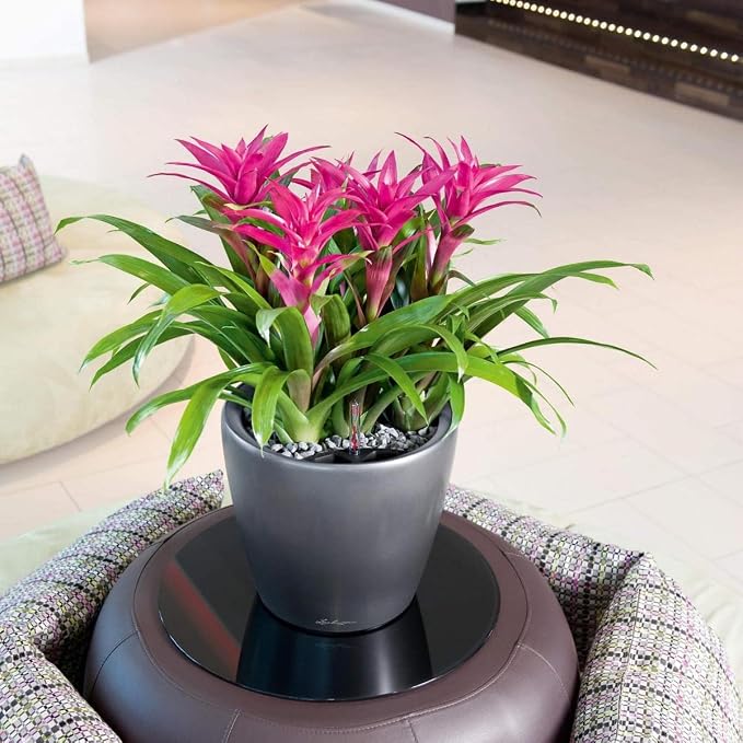 Lechuza Classico LS 35 Charcoal Metallic, Self-Watering Round Planter, D13.8 H13 in