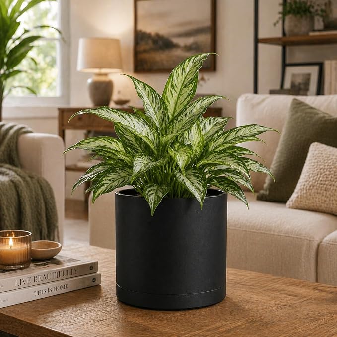 Giraffe Creation 14 Inch Cylinder Plant Pot, Modern Round Planter with Drainage Holes and Saucer, Durable Plastic Flower Pot for Indoor Outdoor Plants, Black