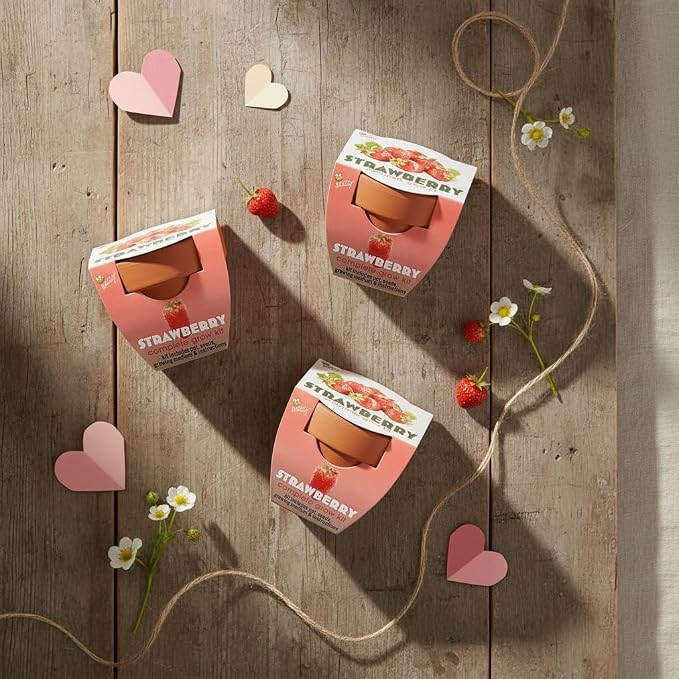 Buzzy Seeds Alpine Strawberry Grow Kit 12-Pack - Mini Terracotta Pot Grow Set - Complete Indoor/Outdoor Gardening Kit with Seeds, Coconut Husk Growing Medium & Genuine Pots - 100% Grow Guarantee