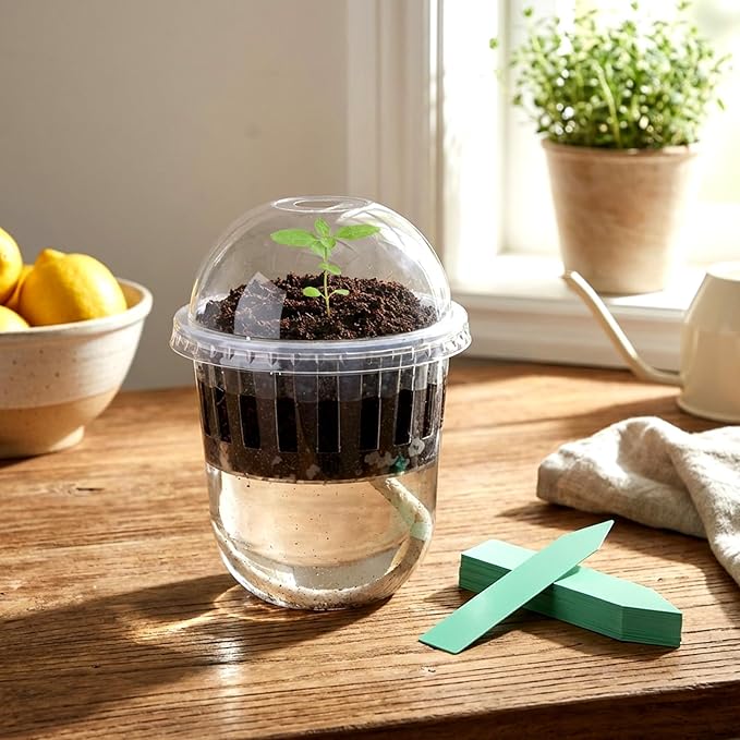 50 Pcs 3.7 Inches Clear Hydroponic Pots Kit Includes Self Watering Nursery Cups with Humidity Domes, Grow Baskets & Absorbing Wicks Reusable Seed Pots for Indoor Plants Herbs Seedling