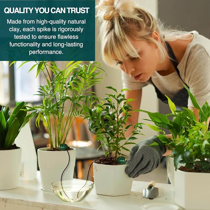 Blumat Classic Self-Watering Stakes - Prevents Overwatering and Underwatering for Healthy Growth While You are Away - Ideal for Indoor Plant Watering, 12 Pack, w Adapter