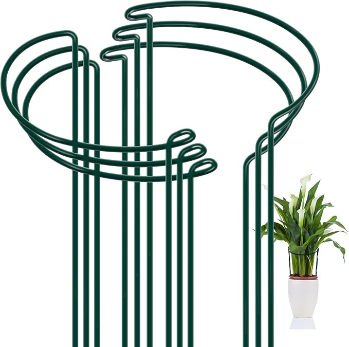 FEED GARDEN Peony Cages and Supports, 6 Pack Plant Support Stakes for Outdoor & Indoor Plants, 10" W x 16" H Half Round Garden Plant Support Rings for Peonies, Hydrangeas, Roses, Dahlias
