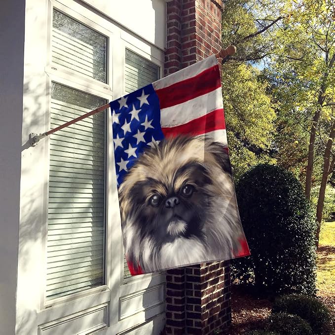 Caroline's Treasures CK6488CHF Chinese Imperial Dog American Flag House Flag Large Porch Sleeve Pole Decorative Outside Yard Banner Artwork Wall Hanging, Polyester, House Size, Multicolor