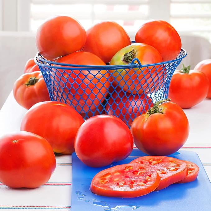 Bonnie Plants Celebrity Hybrid Tomato Live Vegetable Plants - 4 Pack, Disease-Resistant, 7 - 8 Oz. Fruit Size, 65 Day Harvest Time
