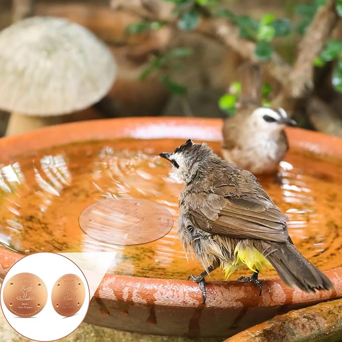 MorningRo 4 Pcs Bird Bath Copper Disk, 0.8mm Thick Reinforced 99.99% Pure Copper Birdbath Purification Disk, with 4 Point Support for Safe Birdbath Cleaner, 4 Inch in Diameter