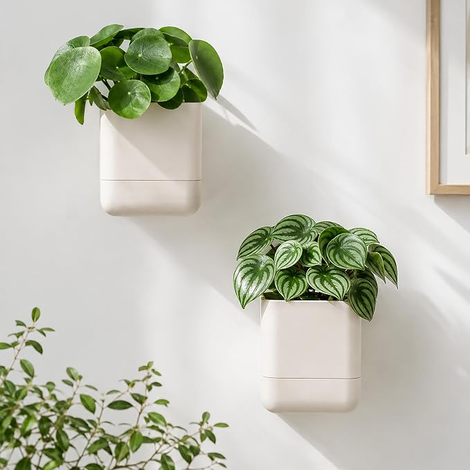 Phoenix Vine 4.5 Inch Wall Mounted Self-Watering Planter Pot for Indoor Houseplants and Herbs | Hanging Planter for Window Sills, Bathroom Walls, Home & Office Décor, Oatmeal, Set of 2, 01-B-G-2