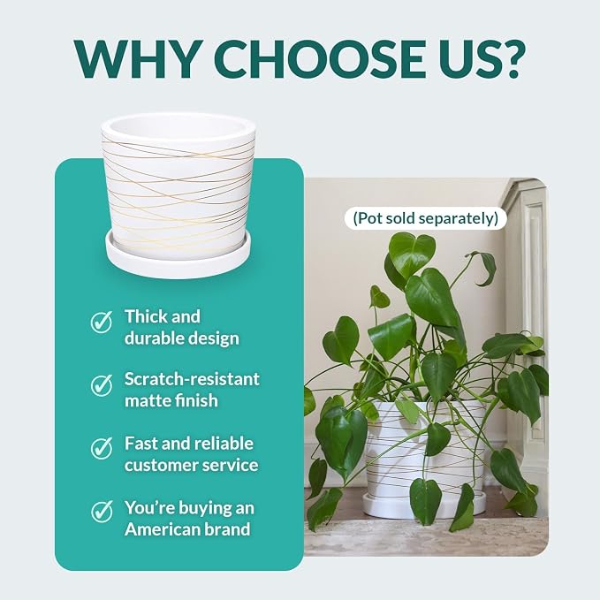 Willowy Matte White Ceramic Pot Saucer - Drainage Tray for 6, 7, 8, 9 Inch Planters + More Sizes
