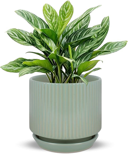 Ceramic-5-inch-Flower-Pots-with-Saucer, Small Planters for Indoor Plants with Drainage Hole, White Textured Vertical Stripe Plant Pots for Home Decor, Garden Pot For Succulent Cactus Mint Basil Herb