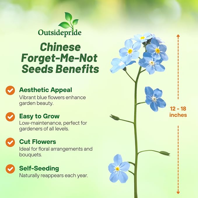 Outsidepride Cynoglossum Blue Chinese Forget Me Not Seeds - 1/4 Lb. Self-Sowing Annual Flower Seeds for Planting Dense Blue Blooms & Upright Growth Habit for Borders, Pollinator & Cottage Gardens