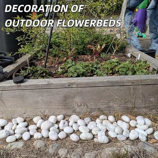 4lb White River Rocks for Plants, 1-3 Inch Pebbles for Indoor Plants, Polished Garden Rocks Outdoor Landscaping, Decorative Stones for Vases, Succulents, Aquarium, Walkways