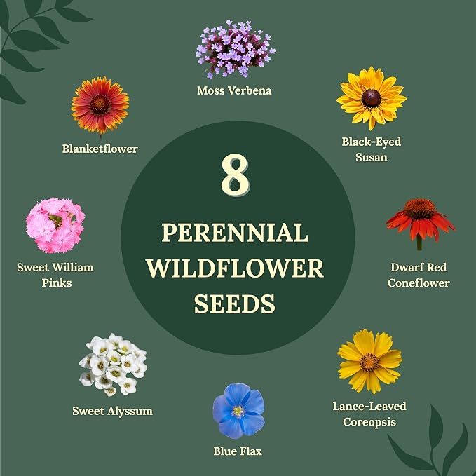 Wildflower Seeds for Bees & Butterflies – 22 Variety Pollinator Mix – 160,000+ Seeds – Annual & Perennial Wildflower Blend – 4 oz