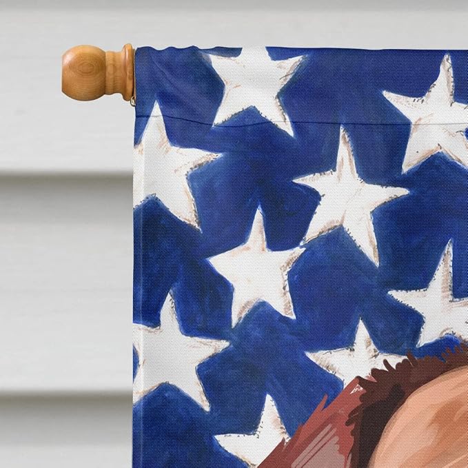 Caroline's Treasures CK6463CHF Broholmer Dog American Flag House Flag Large Porch Sleeve Pole Decorative Outside Yard Banner Artwork Wall Hanging, Polyester, House Size, Multicolor