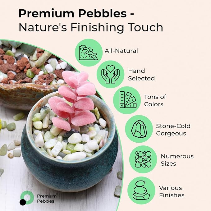 Rocks for Plants. Mixed Colors Decorative Polished Pebbles. 3/8 Inch – 10 lbs for Plants, Garden, Landscaping, Succulents, pots, Plants (XSM (0.375 Inch), Mixed Color - Polished, 10)