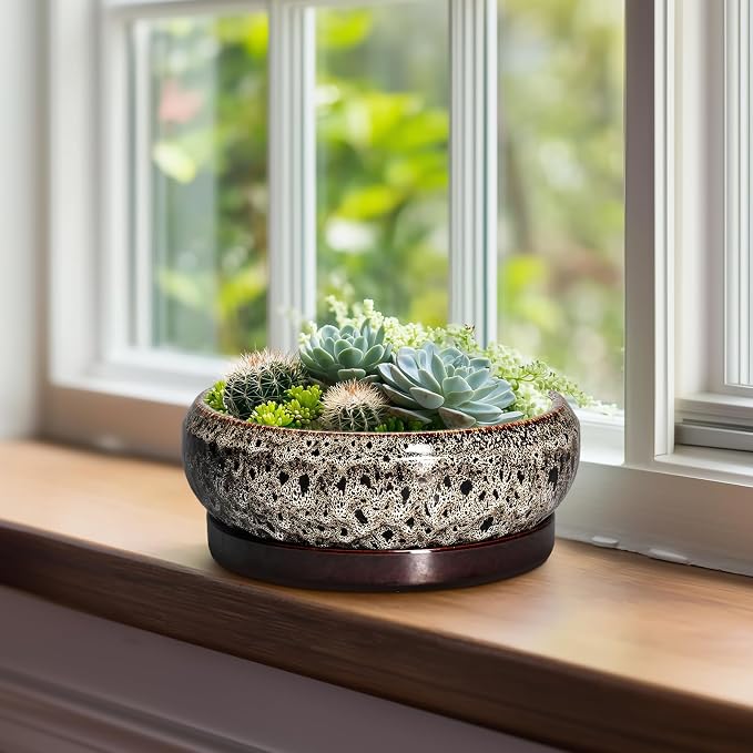 Bonsai Pots - 8 Inch Ceramic Pots for Plants with Drainage Hole and Saucer, Round Succulent Pot, Bonsai Planters Indoor Outdoor, Shallow Planter Bowl, Patio Decor, Gardening Gift, White