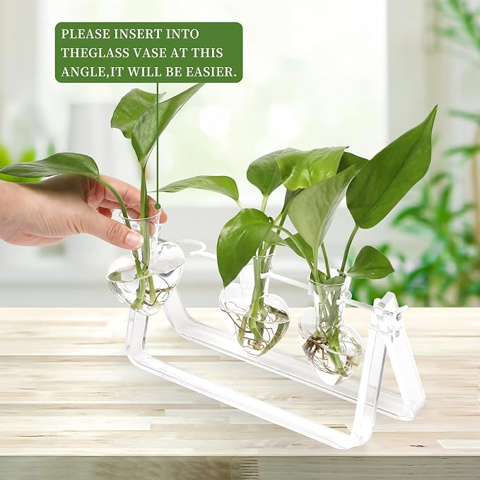 Clear Plant Terrarium Propagation Stations with Acrylic Stand | Birthday Gifts for Women Office Home Decor