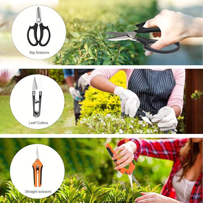 Bonsai Tools Set, 20 Pcs Gardening Succulent Tree Indoor Beginner Tool Kit, Include 262 Feet Bonsai Wire, 29.5"x29.5" Plant Repotting Mat, Leather Bag, Bonsai Scissors, Pruning Shears, Gifts for Women | Include 262 Feet Bonsai Wire, 29.5"x29.5" Plant R...