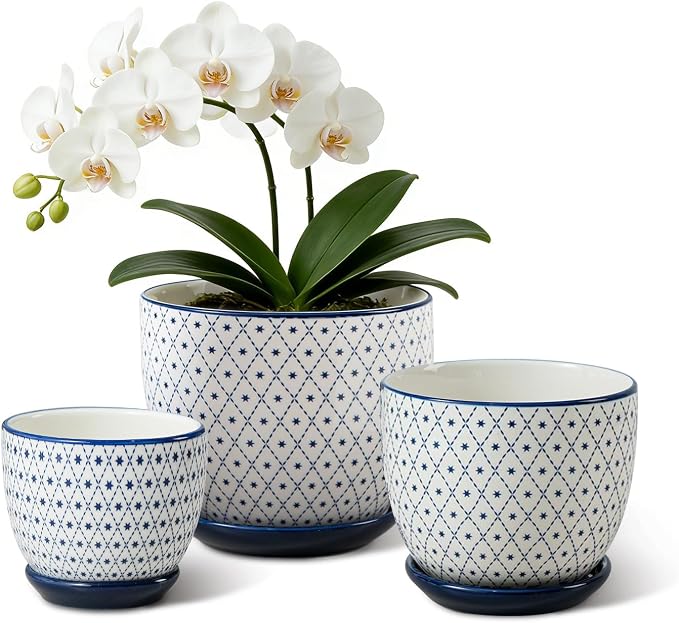 Ceramic Plant Pots - 3.5+4.6+5.6 Inch Flower Pots for Indoor Plants - Planters with Drainage Holes and Saucers Orchid, Herbs, Succulent, Cactus, Home Decor, Set of 3, Vintage Blue, Star