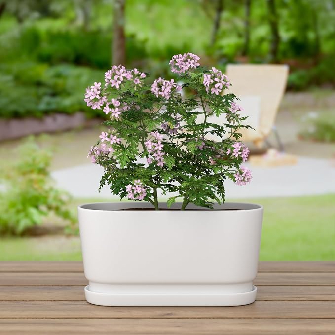 13" Rectangular Ceramic Planter with Drainage and Saucer, White | Indoor Outdoor Use, 13"L x 5.5"W x 6.3"H, Modern Home Decor, Window Box Planter, Matte White