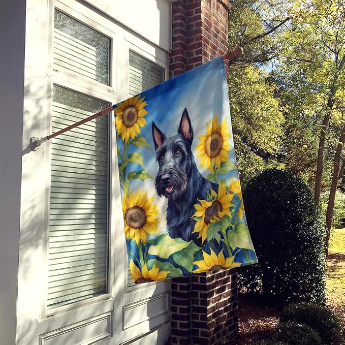 Caroline's Treasures DAC6158CHF Scottish Terrier in Sunflowers House Flag Large Porch Sleeve Pole Decorative Outside Yard Banner Artwork Wall Hanging, Polyester, House Size, Multicolor
