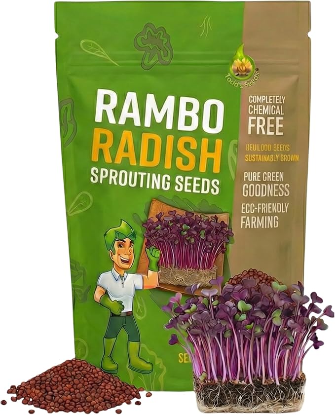 Todd's Seeds Rambo Radish Sprouting Seeds, 1 lb – Non-GMO | Striking red/purple sprouts. Ready in 5 days. High in vitamins & minerals. Great for salads, sandwiches & sushi.