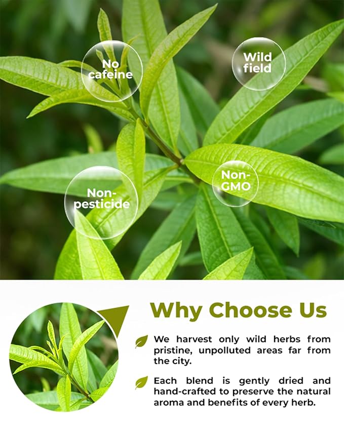 1.8 oz. Lemon Verbena Herbal Tea (Aloysia Citrodora) – 51g Dried Lemon Verbena Herb Tea Cedrón