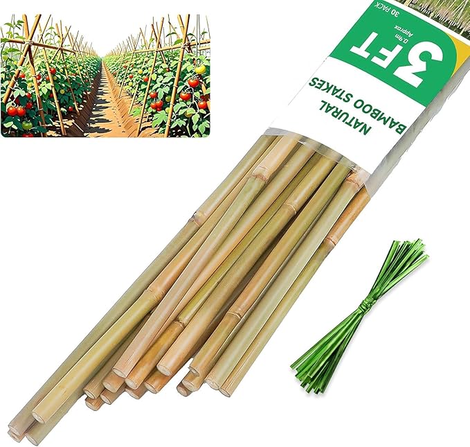 Natural Bamboo Plant Stake, （3FT 30Pcs） Sturdy Bamboo Poles, Durable Plant Bamboo Stake, Garden Climbing Plant Bracket.
