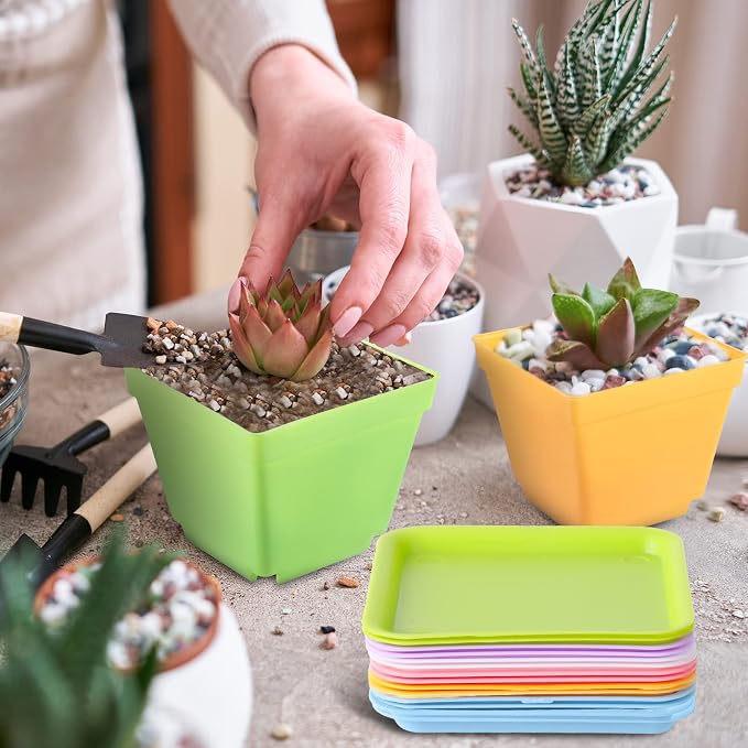 Amyhill 100 Pcs 4 Inch Flower Pots Square Plants Nursery Pot Plastic Plant Seedling Pots Small Nursery Transplanting Planter Container with Saucer for Indoor Succulent Balcony Garden (Classic Color)