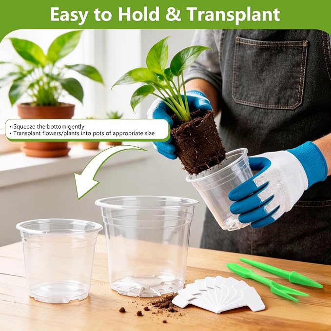 36 Pack 6/8/10 Inch Clear Nursery Pots with Drainage Holes, Transparent Plastic Plant Pots with 40 Waterproof Tags and 2 Mini Transplant Tools, Clear Pot for Plants and Vegetables(Each Size 12)