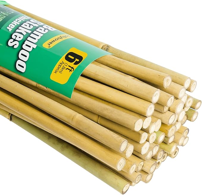 Jollybower 5/8" D 6 Feet Bamboo Stakes 50 Pack, Thicker Heavy-Duty Plant Stakes, Natural Garden Stakes for Bean, Tomato, Bean, Flowers,Trees Potted and Climbing Plant Support