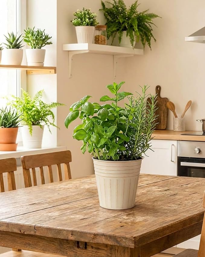 vensovo 5 Inch Galvanized Bucket Planter - 6 Pack Metal Flower Pots with Drainage Holes & Plugs, Rustic Beige Tin Pots for Indoor Herbs, Outdoor Succulents, Farmhouse Home Garden Decor