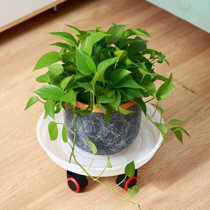 4 Packs 15.7 Inches Extra-Large Plant Caddy Plant Saucers on Wheels Rolling Plant Stands Heavy-duty Plant Dolly Plastic Planter Roller Base Pot Movers Outdoor Plant Tray Coaster, Clear white
