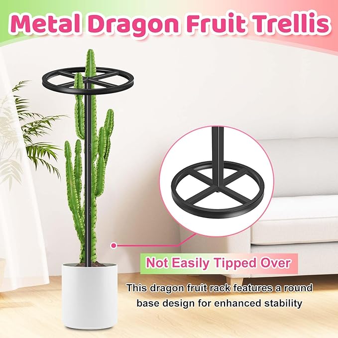Metal Dragon Fruit Trellis, Adjustable Durable Dragon Fruit Plant Trellis Vertical Indoor Support Frame for Climbing Plants Trees Cactus Garden Outdoor Potted Support,1 Pcs
