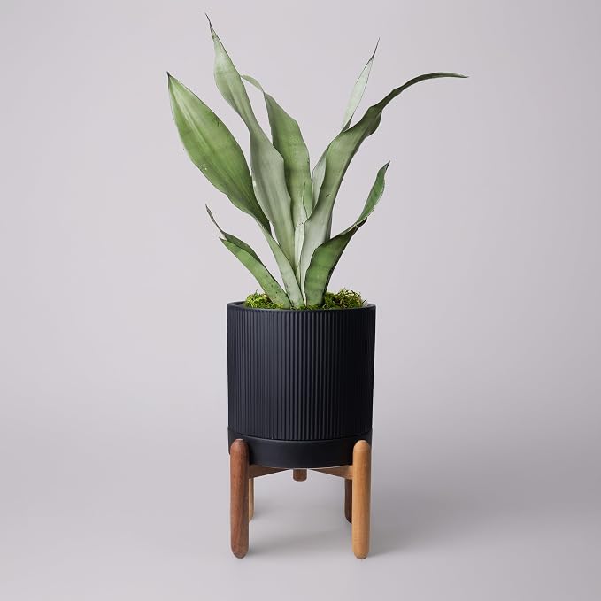 HERDUK 8 Inch Ceramic Planter with Natural Wood Stand w/Drainage & Saucer - Modern Indoor Planter for Cacti, Snake Plants & Aloe Vera Black