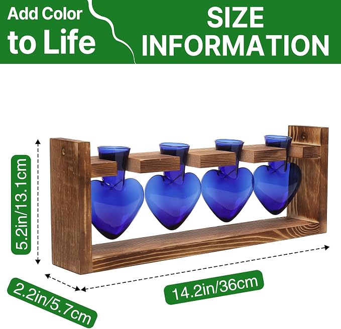 Plant Propagation Stations Heart Plant Terrarium Kit | Gift for Women Plant Lover Glass Vases