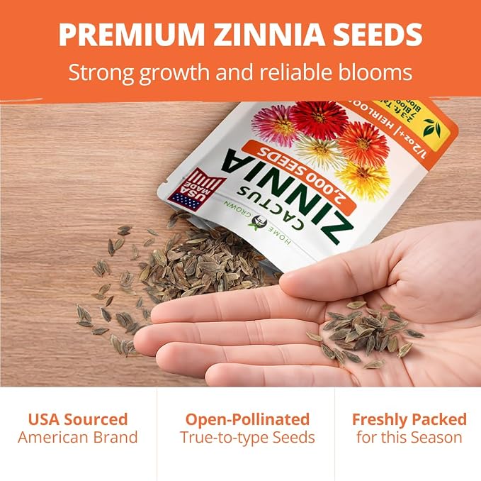 HOME GROWN Zinnia Cactus Mix Seeds – 2000 Heirloom Non-GMO Flower Seeds for Spring 2026 Planting Outdoors, Large Cactus Blooms, Tall Cut Flower Garden, USDA Zones 3–10 (Zinnia elegans)