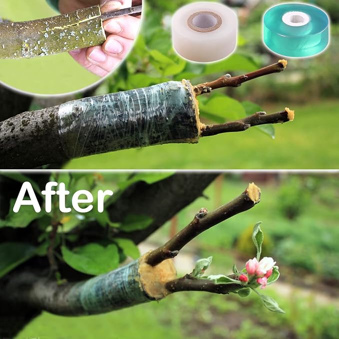 Garden Grafting Tool Kit for Fruit Trees, Includes Grafting Knife, Grafting Tape, Plant Twist Ties for Propagation