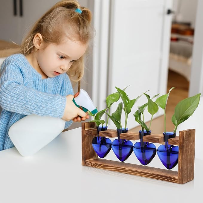 Plant Propagation Stations Heart Plant Terrarium Kit | Gift for Women Plant Lover Glass Vases