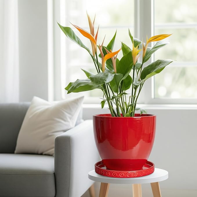 Eightpot Plant Drip Trays 9.3 Inch, Ceramic Plant Saucer, Plant Saucers for Indoorss Outdoors, Round Plants Plates to Catch Water, Modern Plant Pot Tray, Decorative Plants Dishes to Catch Water, Red