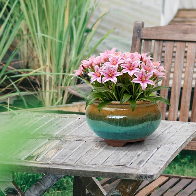 8 Inch Succulent Pot with Drainage and Saucer Glazed Terracotta Round Ceramic Succulent Planter Cactus Bonsai Plant Pot (Brown and Green)