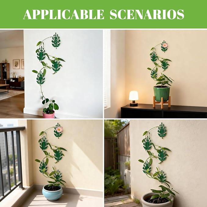 15 Pack Plant Vine Wall Clips - Durable Iron Support Hooks for Climbing Plants, Pothos, and Money Ivy – Adhesive Fixtures for Vertical Growth & Organizing Decor for Indoor and Outdoor Use