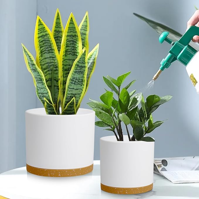 Large Plant Pots Set of 3 – 8", 9", 10" Indoor Flower Pots with Drainage Holes and Saucers, Big Planters for Monstera, Fiddle Leaf Fig, Snake Plant – 5 Colors